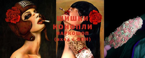 ешки Алзамай