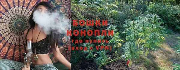 ешки Алзамай