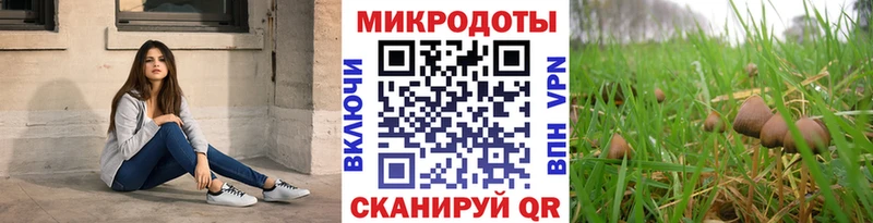 Галлюциногенные грибы Psilocybine cubensis  Жиздра 